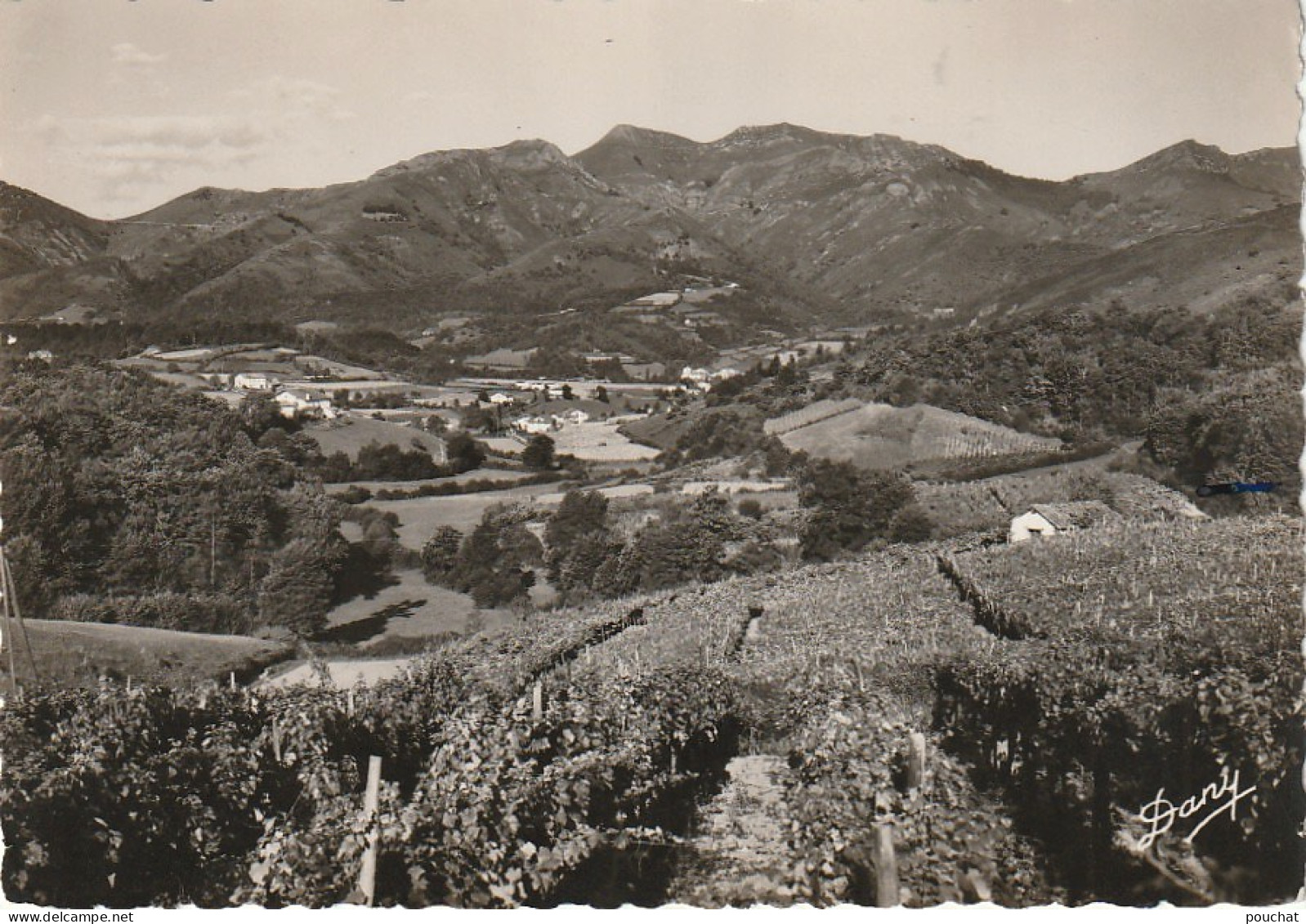 GU 20 -(64) SAINT ETIENNE DE BAIGORRY - VUE SUR LES MONTAGNES - COTEAUX DU CRU  D'IROULEGUY - 2 SCANS - Saint Etienne De Baigorry