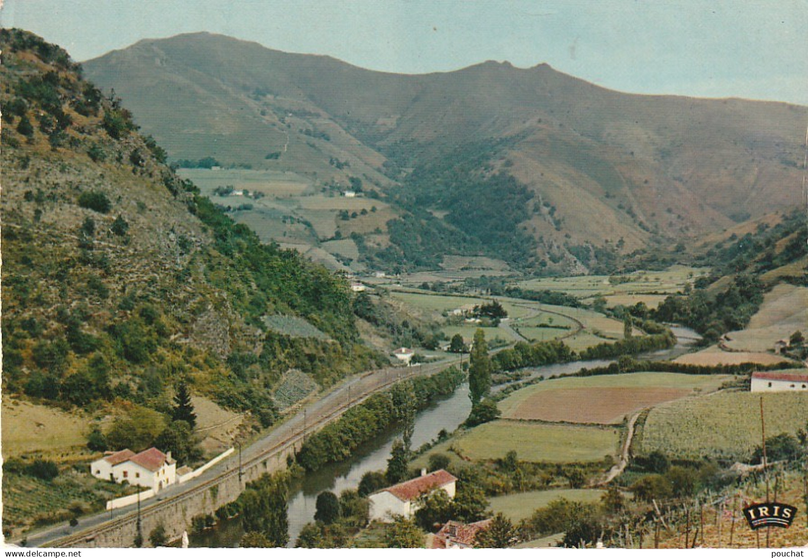 GU 20 -(64) LA VALLEE DE LA NIVE A BIDARRAY - VUE GENERALE  -  CARTE COULEURS   - 2 SCANS - Bidarray