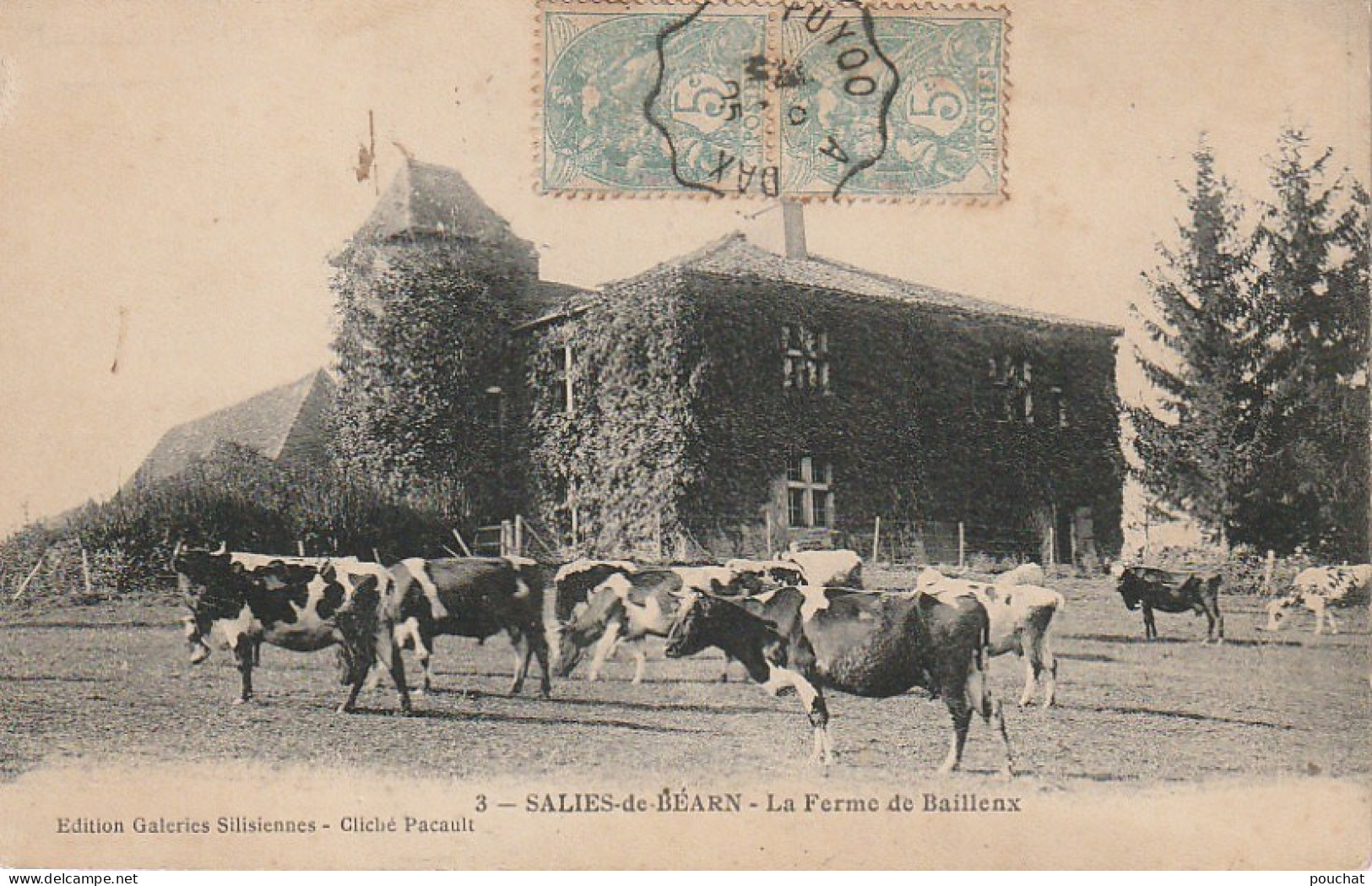 GU 22 -(64) SALIES DE BEARN -   LA FERME DE BAILLENX -  TROUPEAU DE VACHES   -  2 SCANS - Salies De Bearn