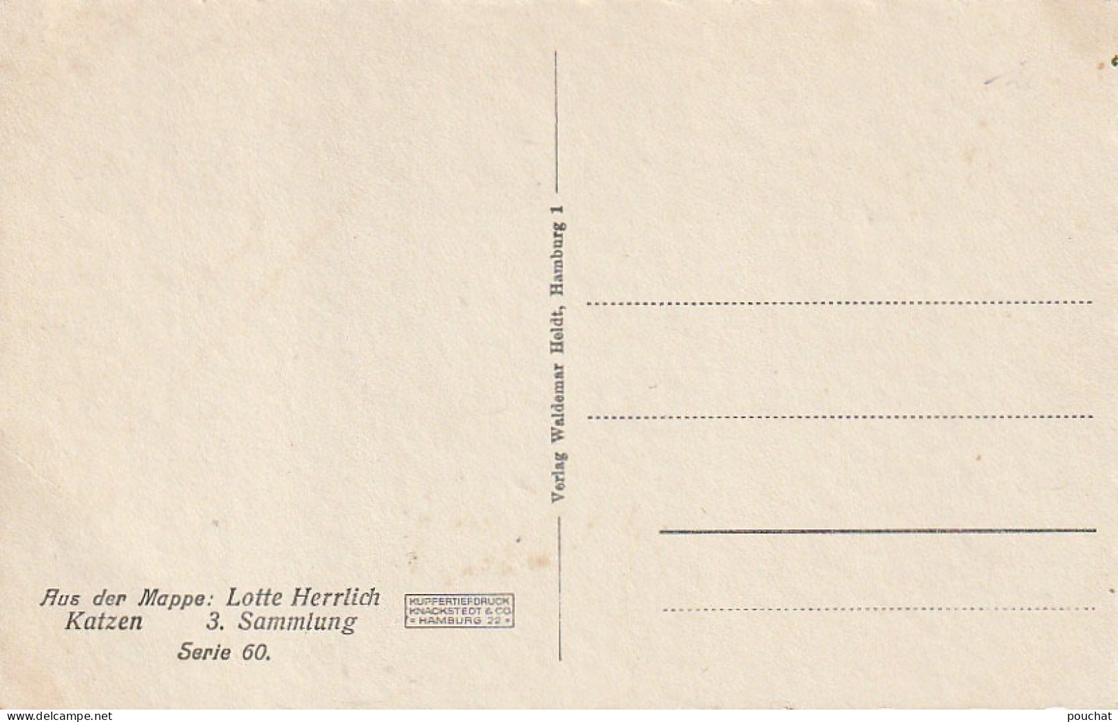 FI 9- TRIO DE CHATONS DANS PANIERE - KATZEN - AUS DER MAPPE : LOTTE HERRLICH - 2 SCANS - Gatos