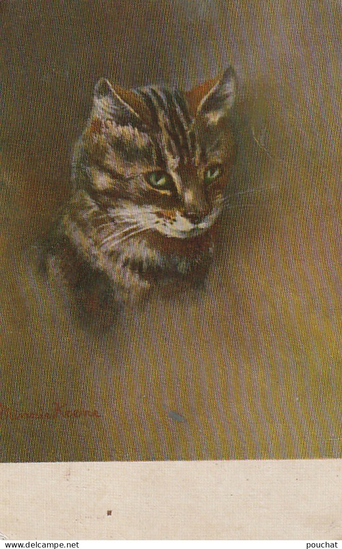 FI 9 - PORTRAIT DE CHAT - ILLUSTRATEUR MINNIE KEENE - 2 SCANS - Autres & Non Classés