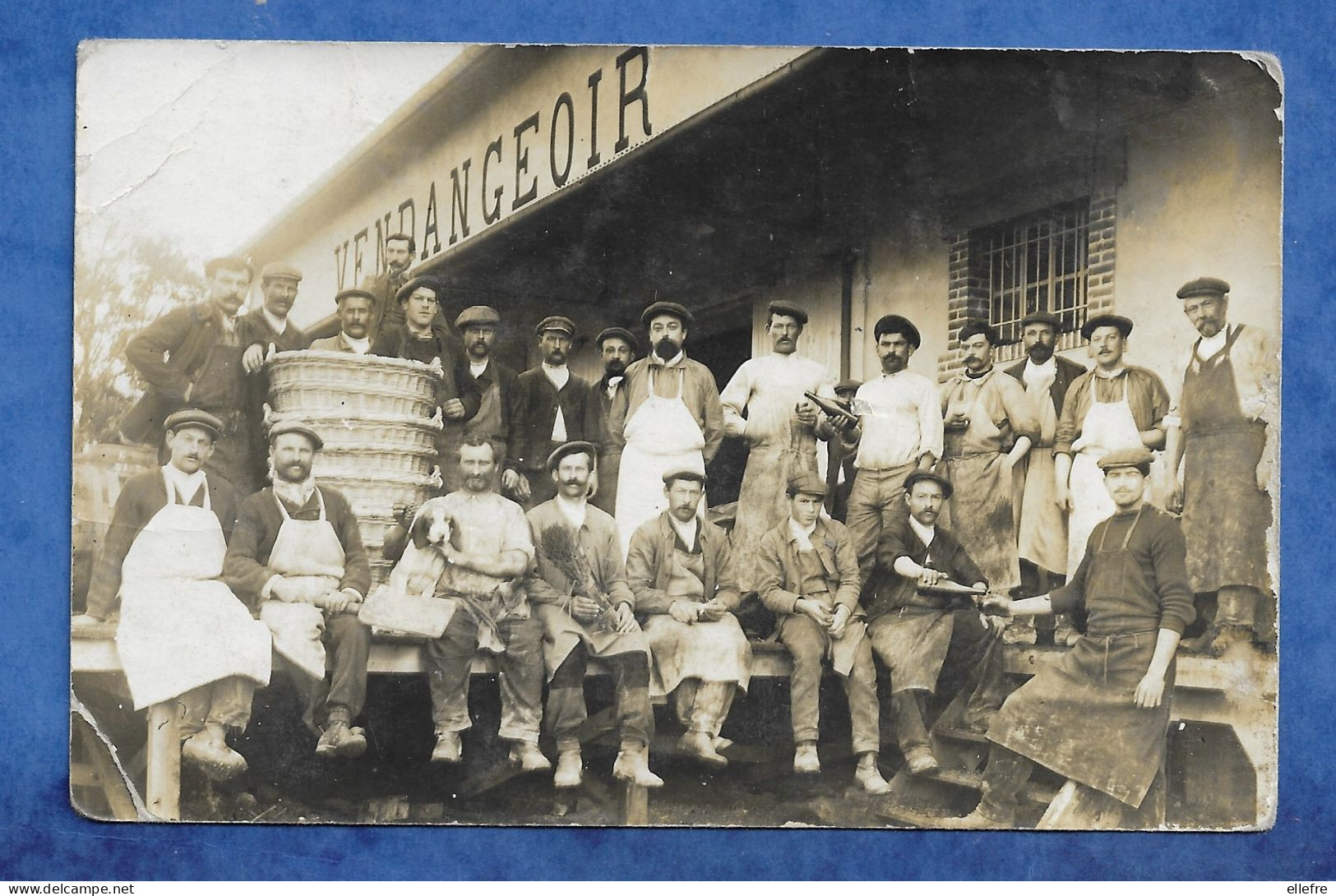 CPA Champagne Vin Vendange Métier - Carte Photo à Localiser Un Groupe De Vendangeurs Devant Un Vendangeoir - Ecrite - Champagne-Ardenne