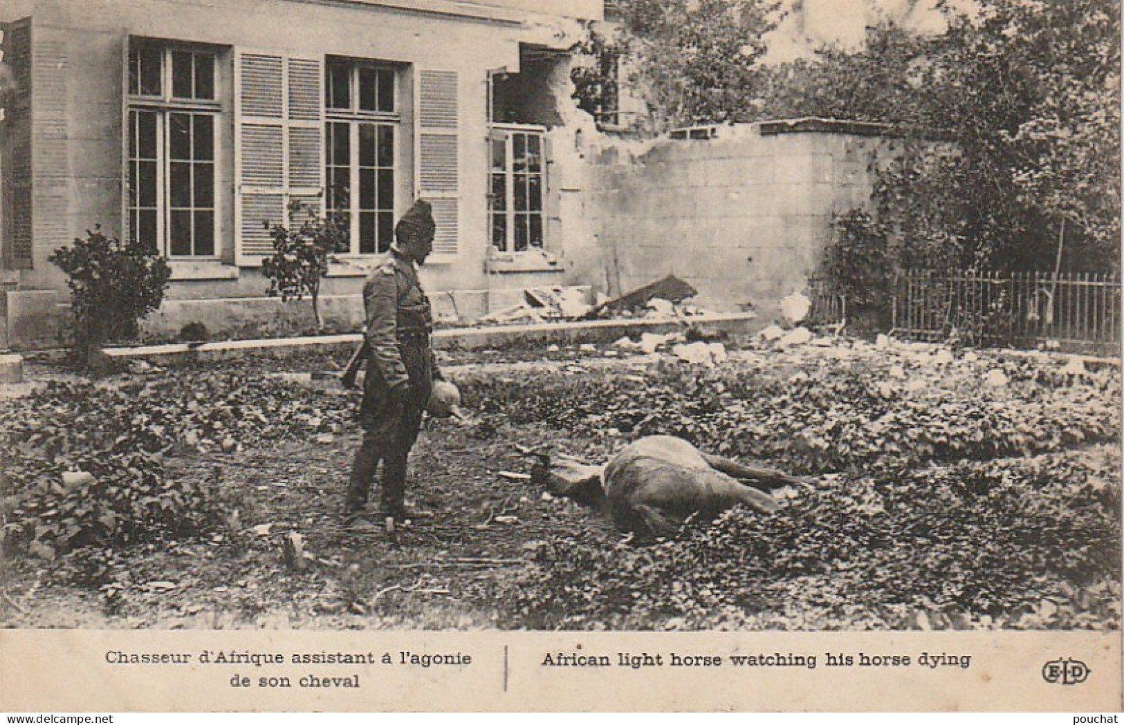 GU Nw - CHASSEUR D' AFRIQUE ASSISTANT A L' AGONIE DE SON CHEVAL - RUINES - 2 SCANS - Guerre 1914-18