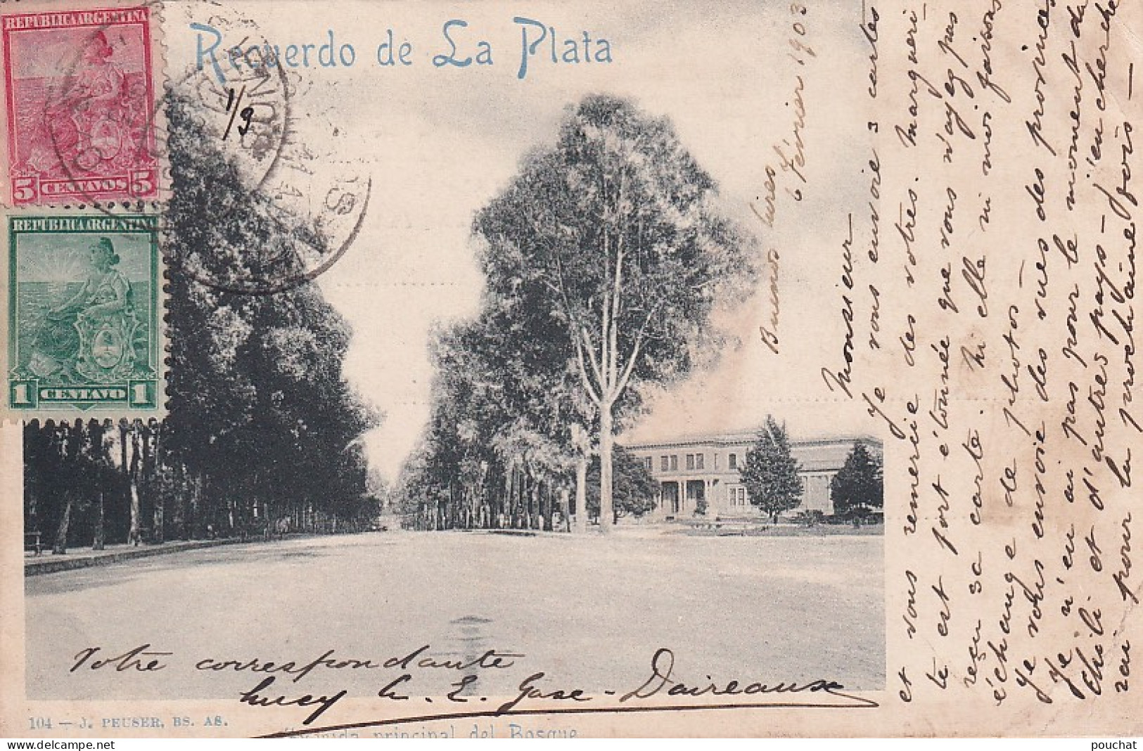 DE Nw28- AVENIDA PRINCIPAL DEL BOSQUE - RECUERDO DE LA PLATA -  ARGENTINA - OBLITERATION 1903 - Argentinië