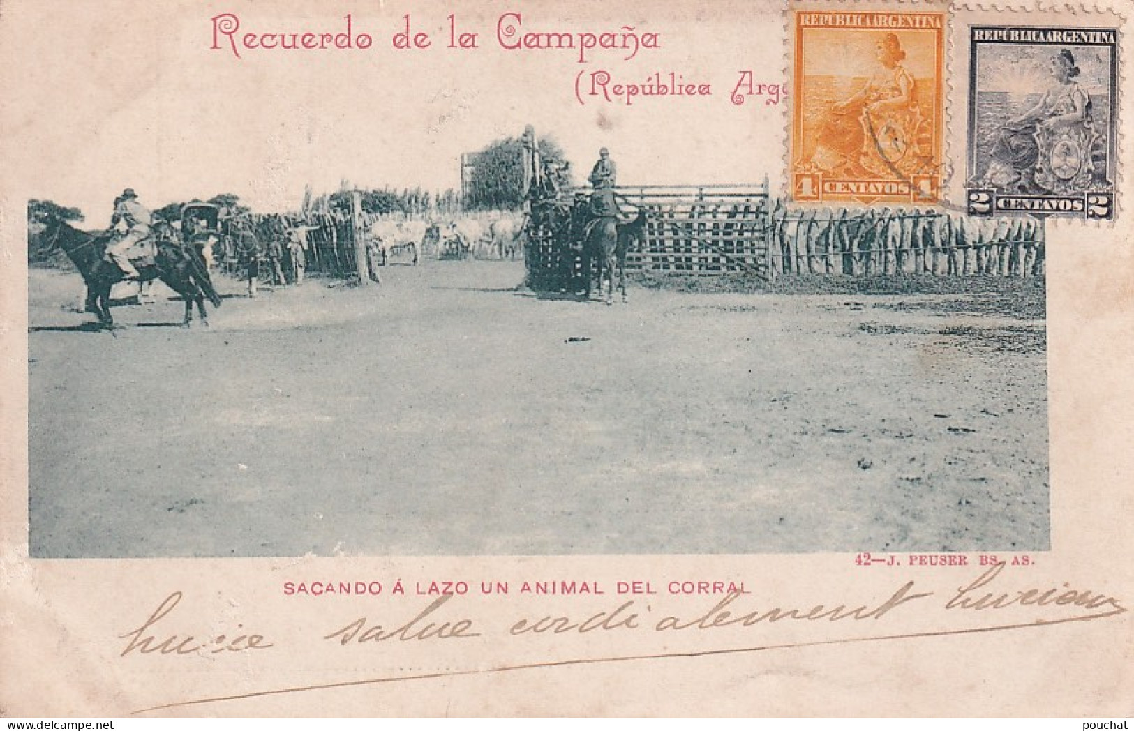 DE Nw28- SACANDO A LAZO UN ANIMAL DEL CORRAL - RECUERDO DE LA CAMPANA -  ARGENTINA - Argentine