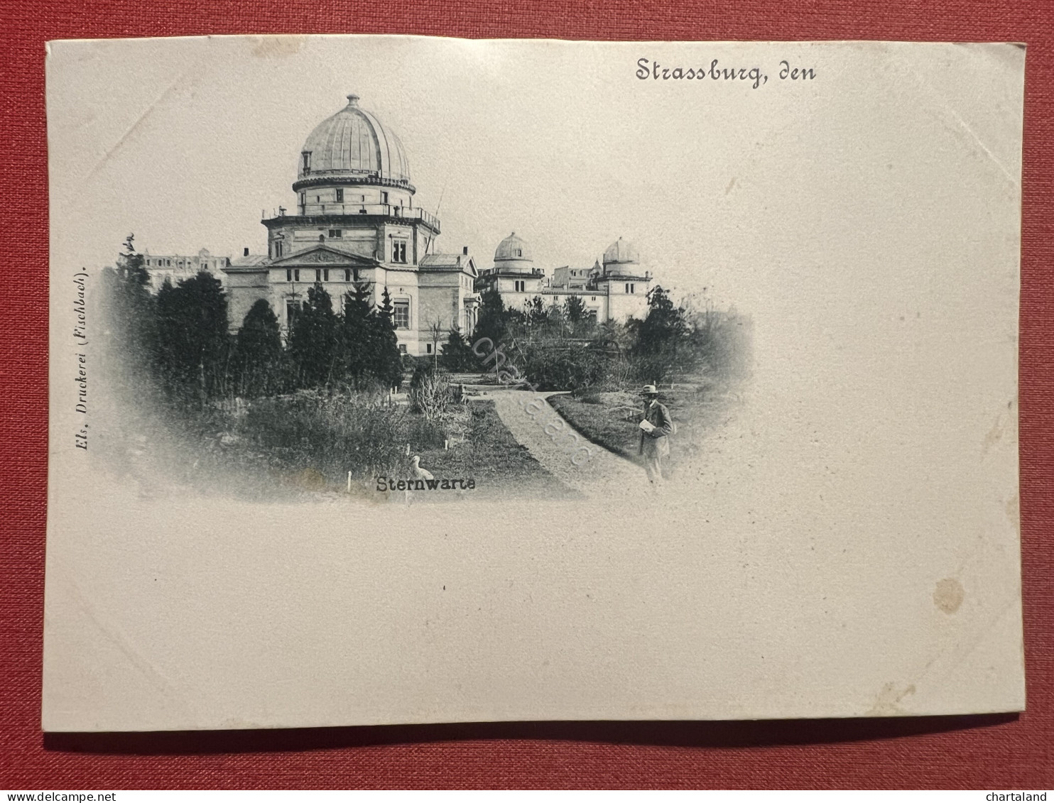 Cartolina - Strassburg, Den - Sternwarte - 1900 Ca. - Ohne Zuordnung