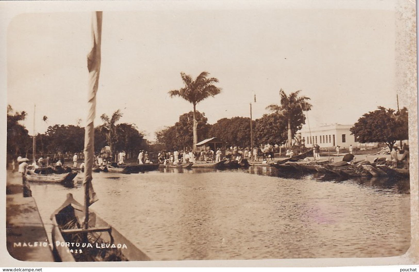 DE Nw29- PORTO DA LEVADA ,  MACEIO - BRASIL - CARTE PHOTO - Maceió