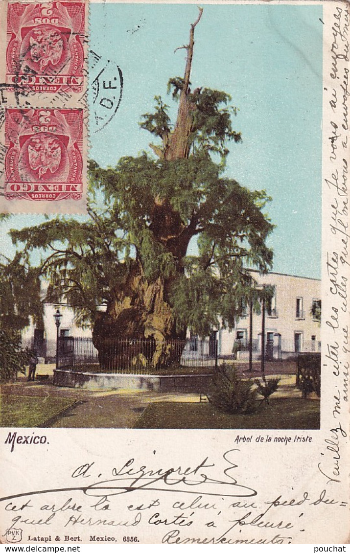 DE Nw29- ARBOL DE LA NOCHE TRISTE - MEXICO - Mexico