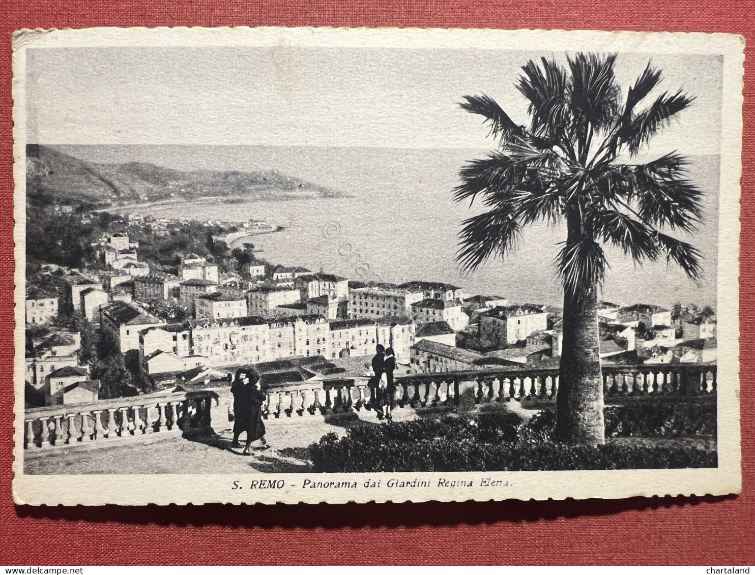 Cartolina - Sanremo - Panorama Dai Giardini Regina Elena - 1937 - Imperia