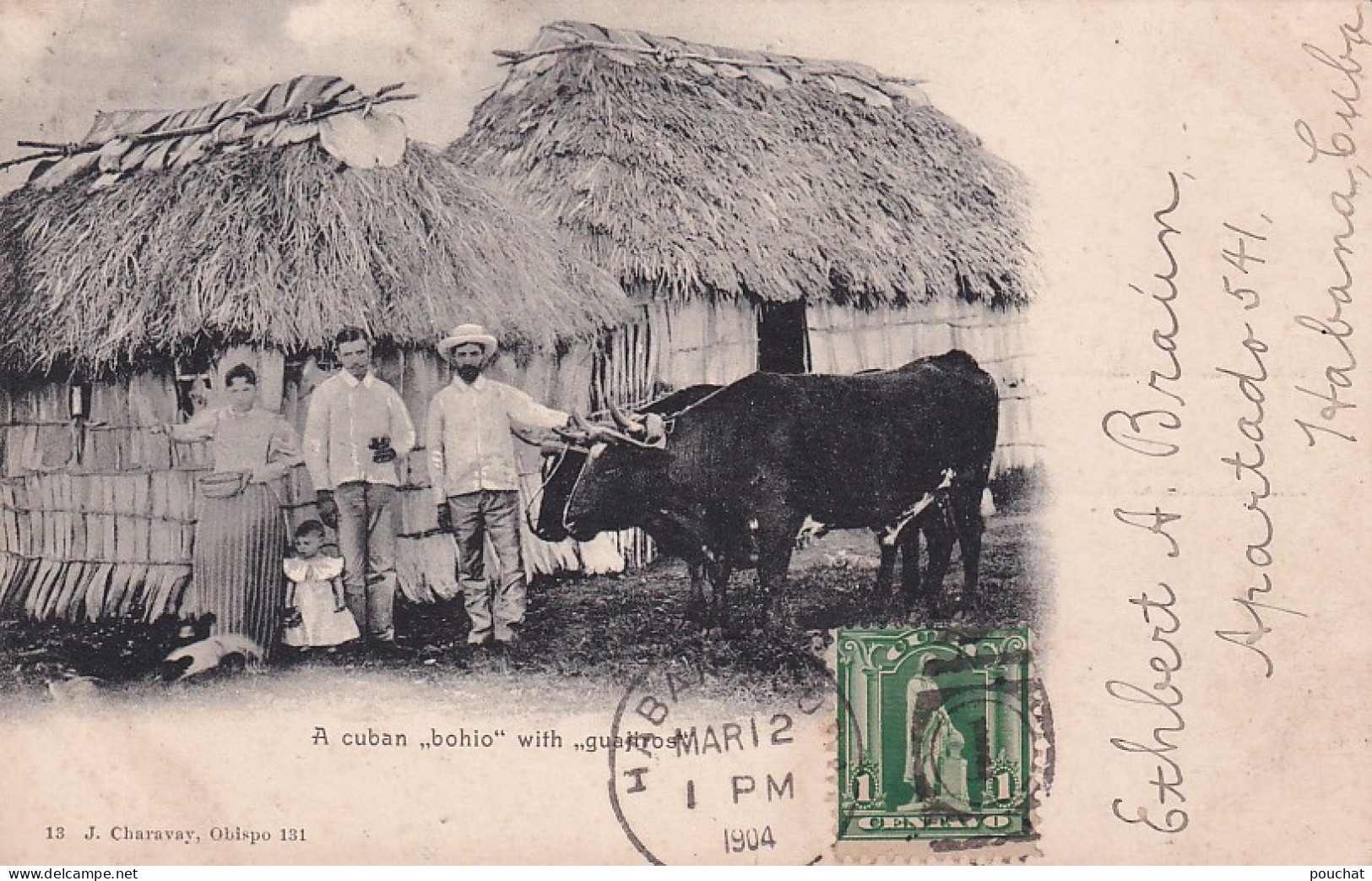 DE Nw30-  A CUBAN " BOHIO " WITH " GUAJIROS " - ATTELAGE BOEUFS - OBLITERATION 1904 HABANA , CUBA - Kuba