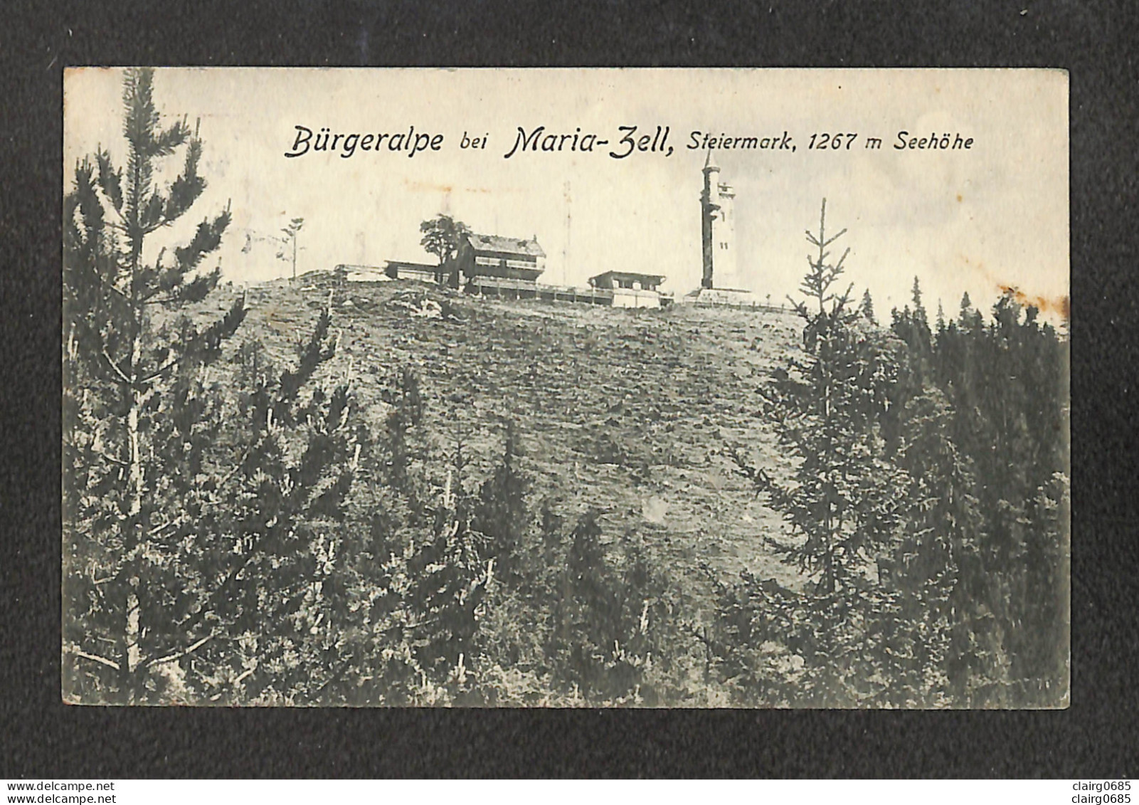 AUTRICHE - AUSTRIA - OSTERRICH - MARIA-ZELL - Bürgeralpe  Bei Maria-Zell - 1922 - Mariazell