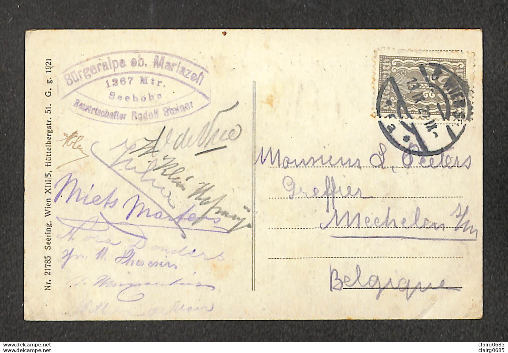 AUTRICHE - AUSTRIA - OSTERRICH - MARIA-ZELL - Bürgeralpe  Bei Maria-Zell - 1922 - Mariazell