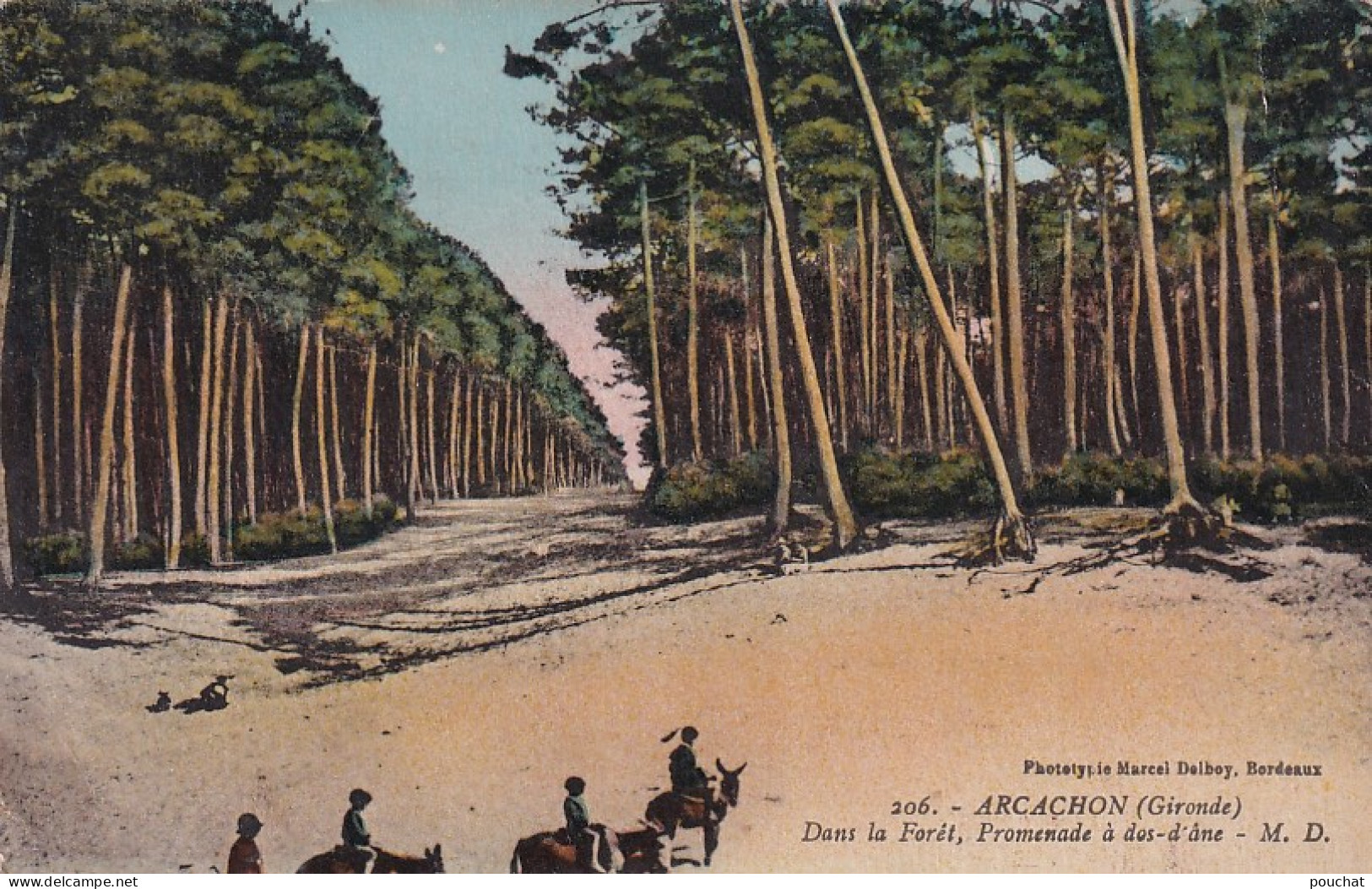 EP 28-(33) ARCACHON - DANS LA FORET , PROMENADE A DOS D'ANE - Arcachon