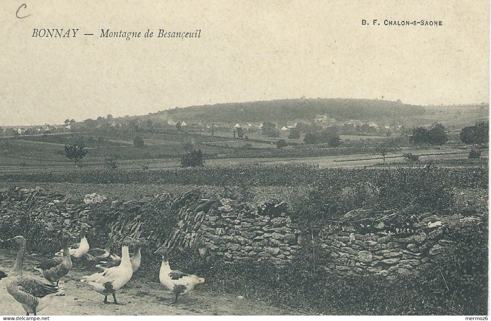 BONNAY Montagne De Besançeuil – Rare - Oies – Voyagée 1909 - B.F. Chalon-s-Saone - Other & Unclassified