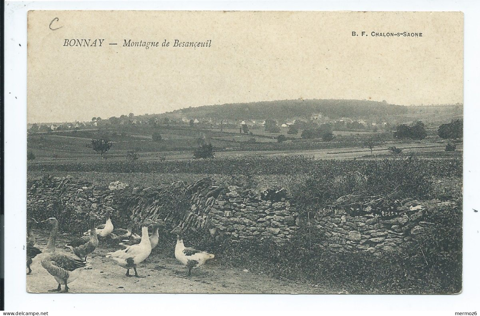 BONNAY Montagne De Besançeuil – Rare - Oies – Voyagée 1909 - B.F. Chalon-s-Saone - Other & Unclassified