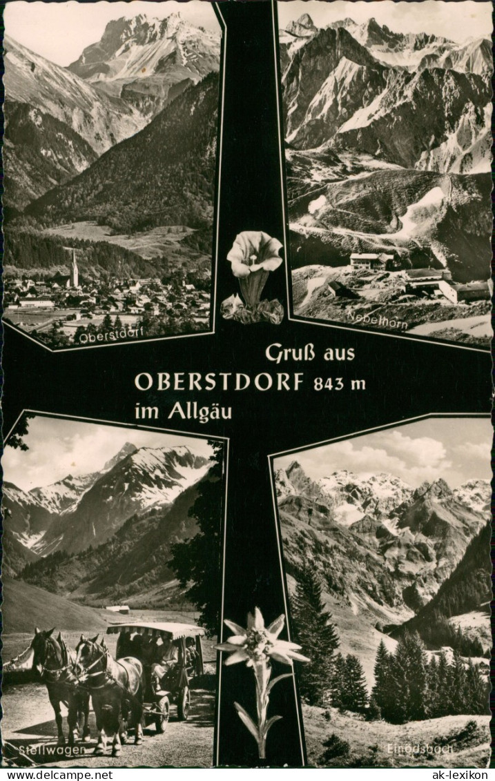 Ansichtskarte Oberstdorf (Allgäu) Stadt, Stellwagen, Edelweiß 1963 - Oberstdorf