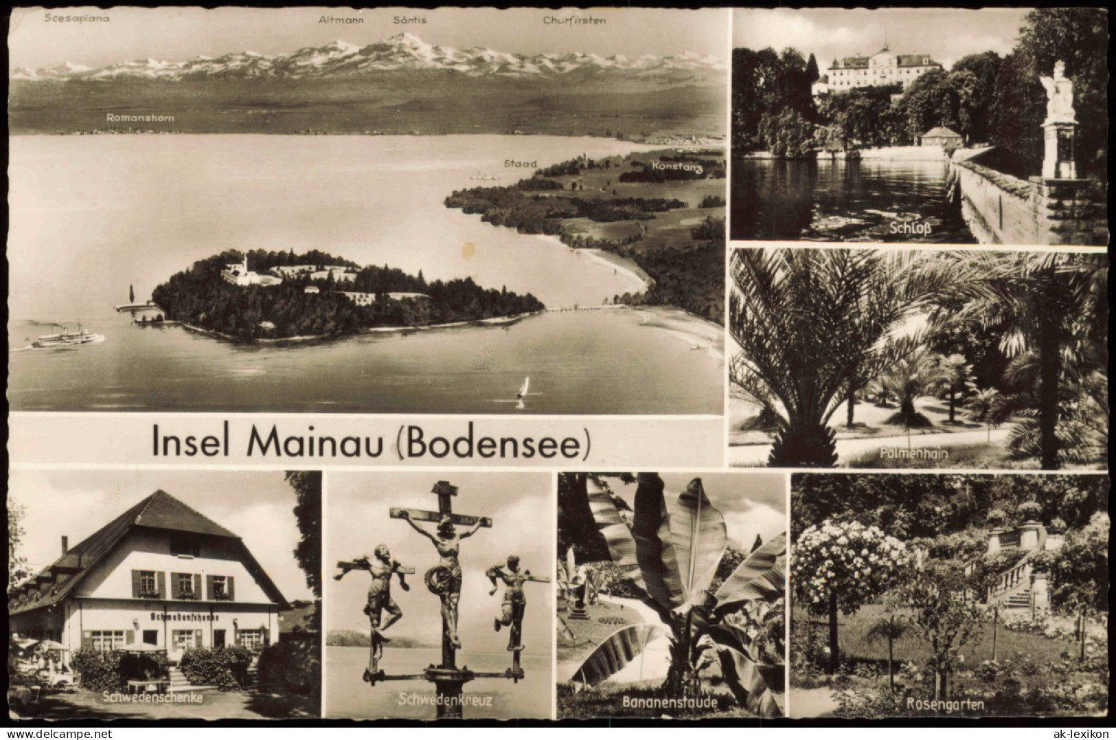 Insel Mainau-Konstanz MB: Luftbild, Schwedensteine, Rosengarten 1965 - Konstanz