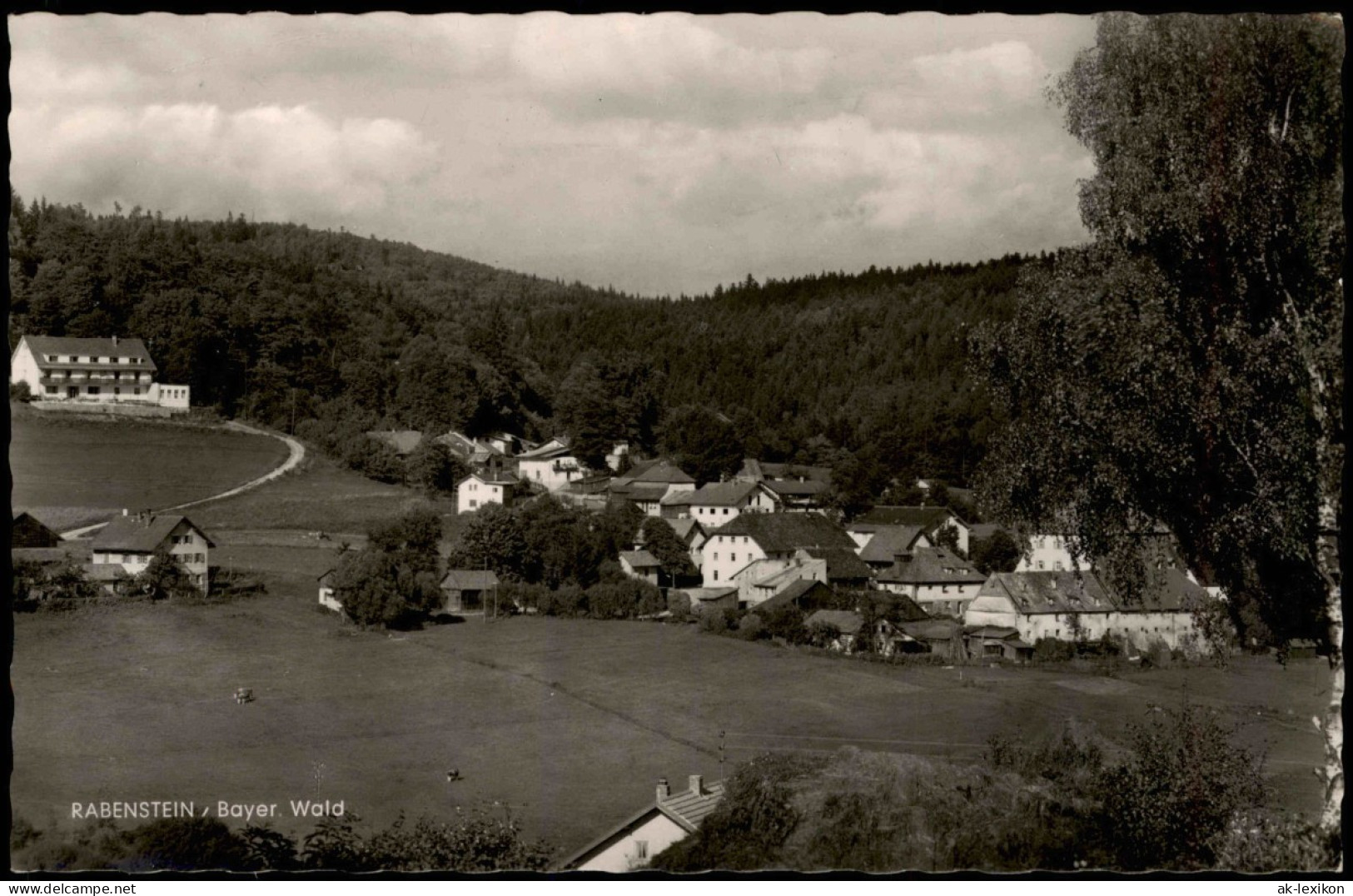 Rabenstein-Zwiesel Panorama-Ansicht RABENSTEIN Im Bayer. Wald 1960 - Zwiesel