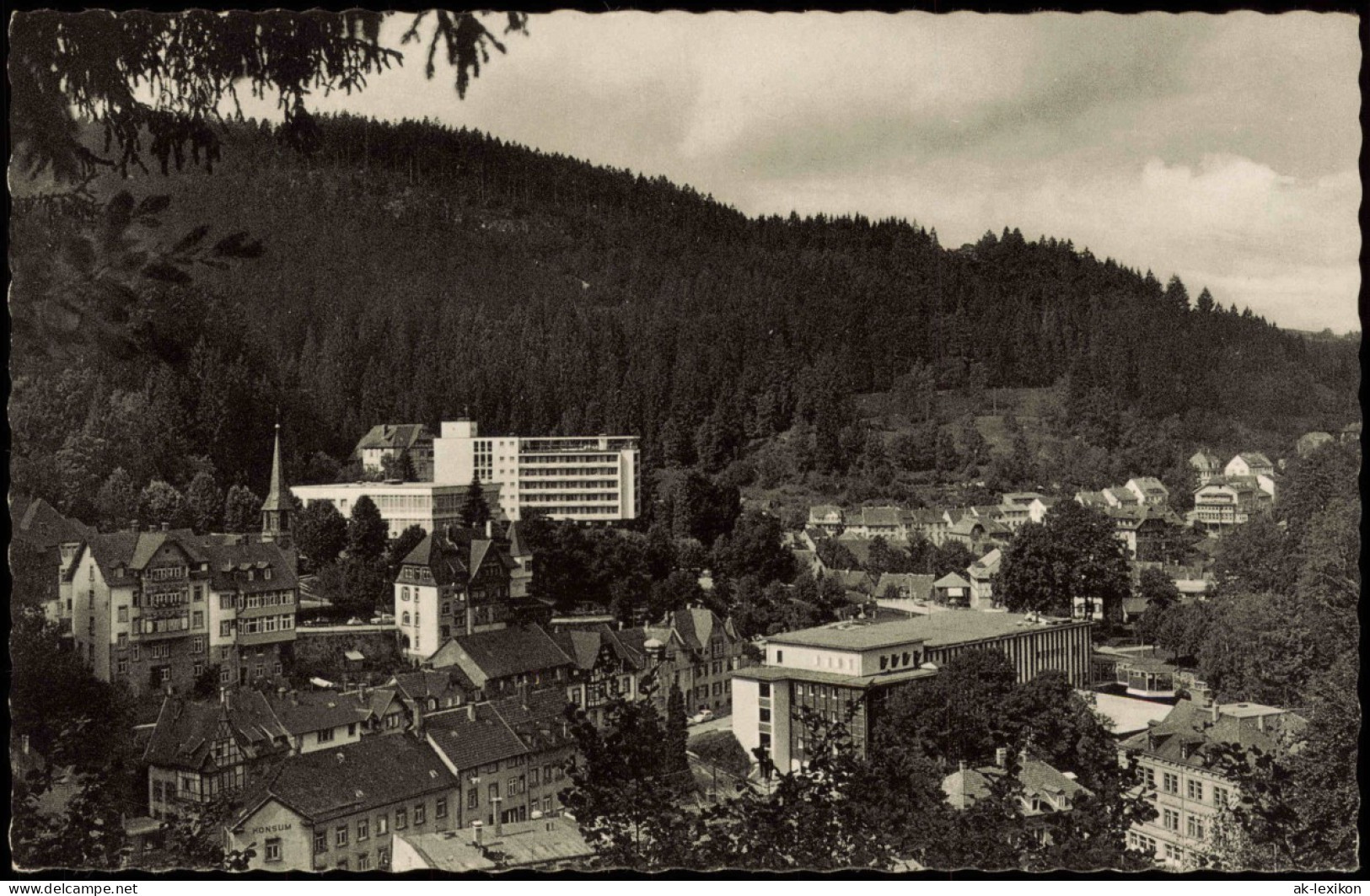 Ansichtskarte Triberg Im Schwarzwald Kurviertel 1961 - Triberg