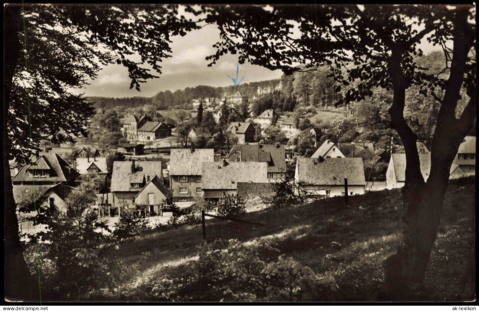 Ansichtskarte Steinbergen-Rinteln Partie Am Hang 1958 - Rinteln