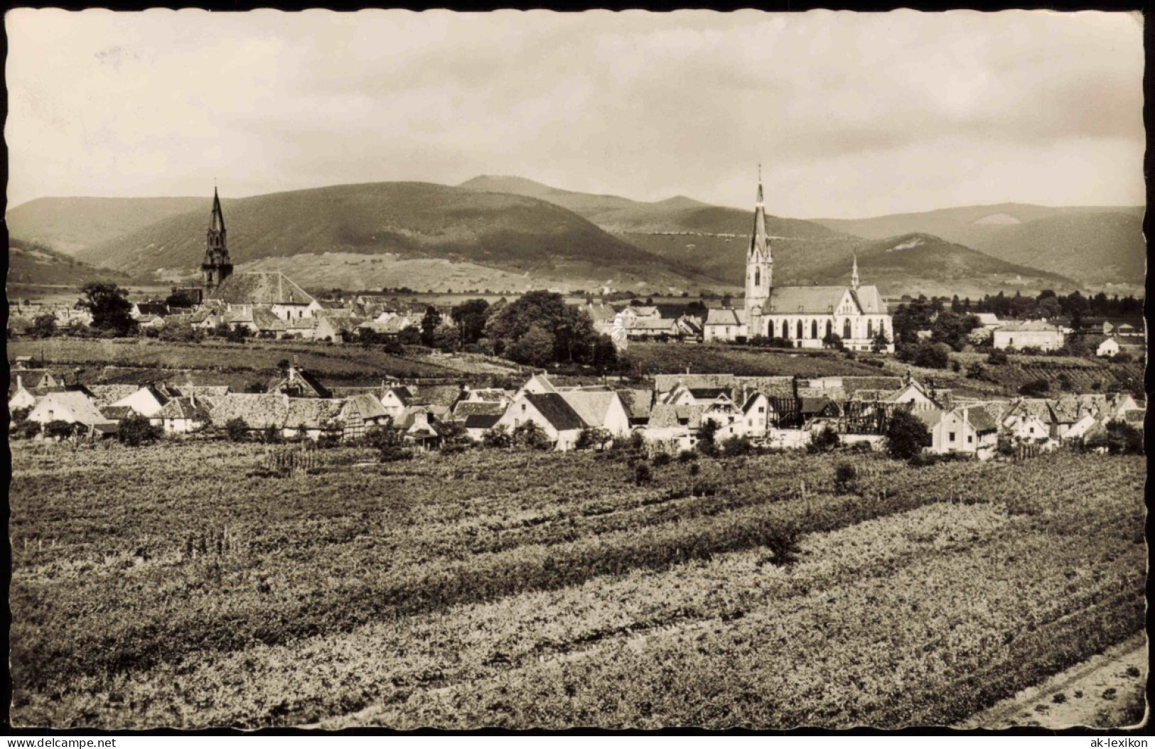 Ansichtskarte Edenkoben Panorama-Ansicht 1960 - Edenkoben