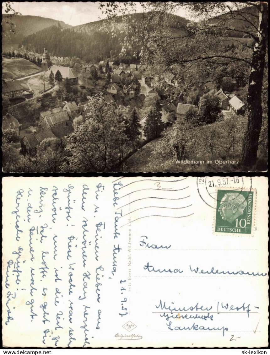 Wildemann (Innerstetal) Panorama-Ansicht Wildemann Im Oberharz 1957 - Wildemann