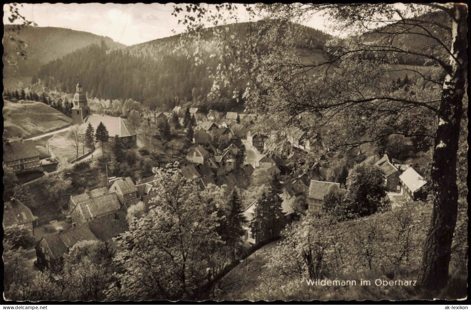 Wildemann (Innerstetal) Panorama-Ansicht Wildemann Im Oberharz 1957 - Wildemann