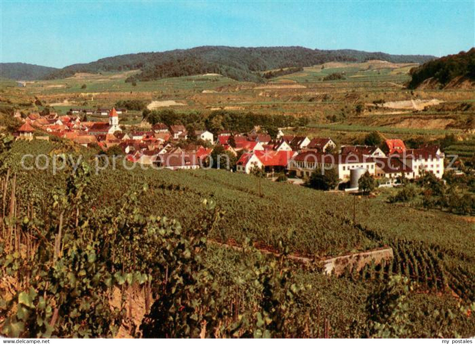 73778962 Achkarren Am Kaiserstuhl Panorama Achkarren - Autres & Non Classés