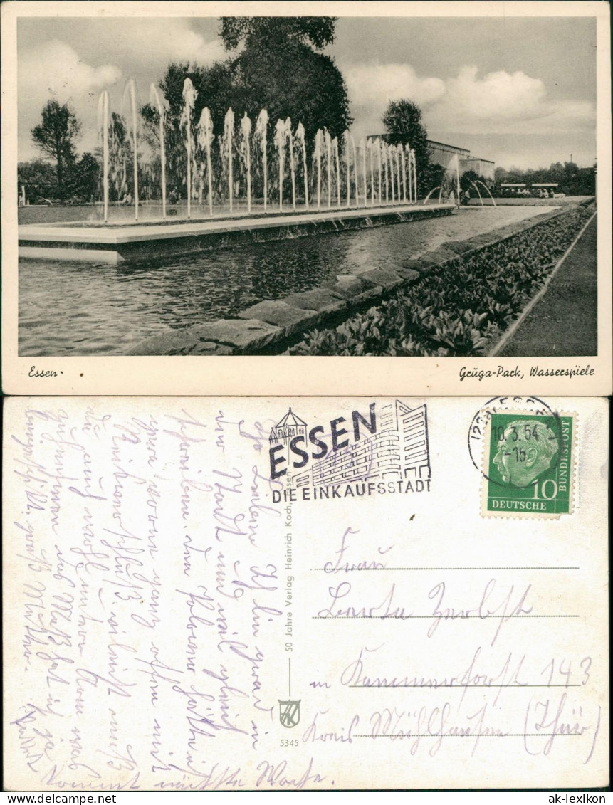 Ansichtskarte Essen (Ruhr) Grugapark Gruga-Park, Wasserspiele 1954 - Essen