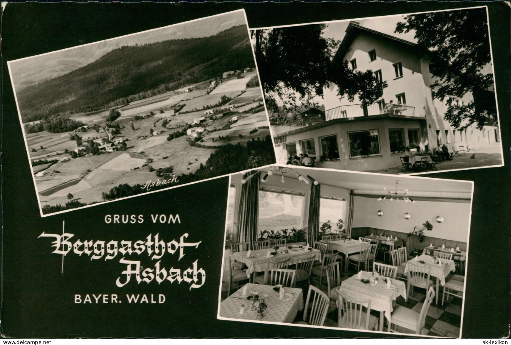 Ansichtskarte  Berggasthof Pension Asbach Nationalpark Bayerischer Wald 1962 - Non Classés