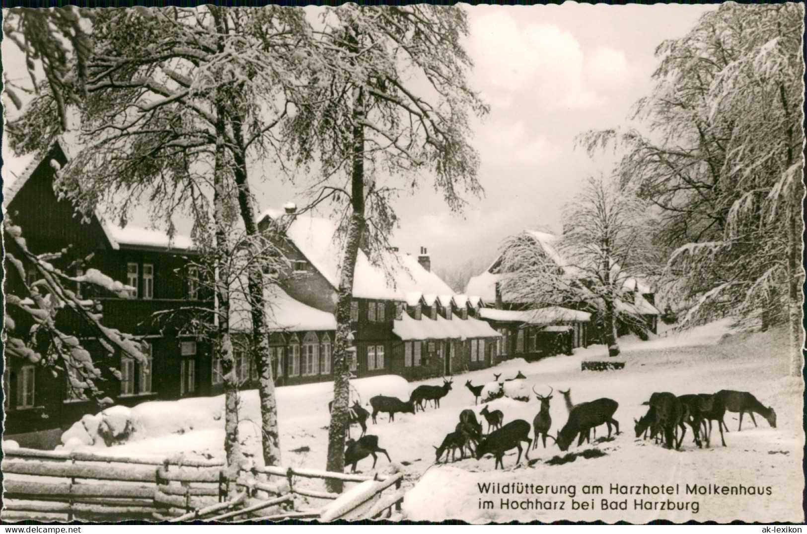 Ansichtskarte Bad Harzburg Molkenhaus Im Winter 1963 - Bad Harzburg