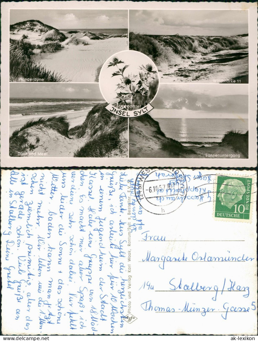 Ansichtskarte Sylt Insel Sylt Mehrbild Dünen, Stranddistel 1957 - Autres & Non Classés