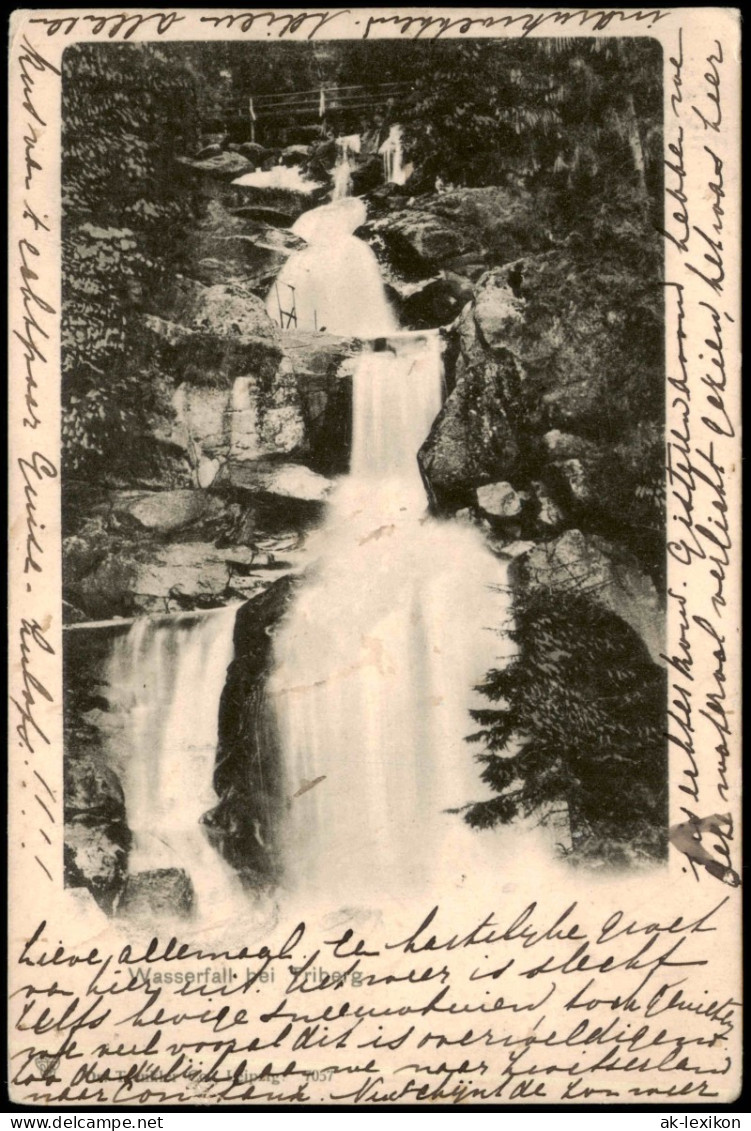 Ansichtskarte Triberg Im Schwarzwald Kaskaden-Wasserfall 1905 - Triberg