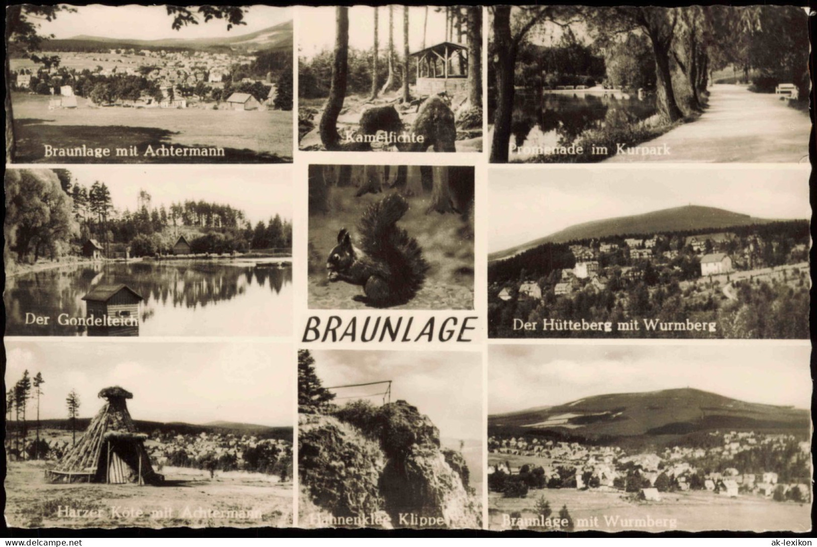 Ansichtskarte Braunlage Kamelfichte, Anlagen, Harzer Köte MB 1961 - Braunlage