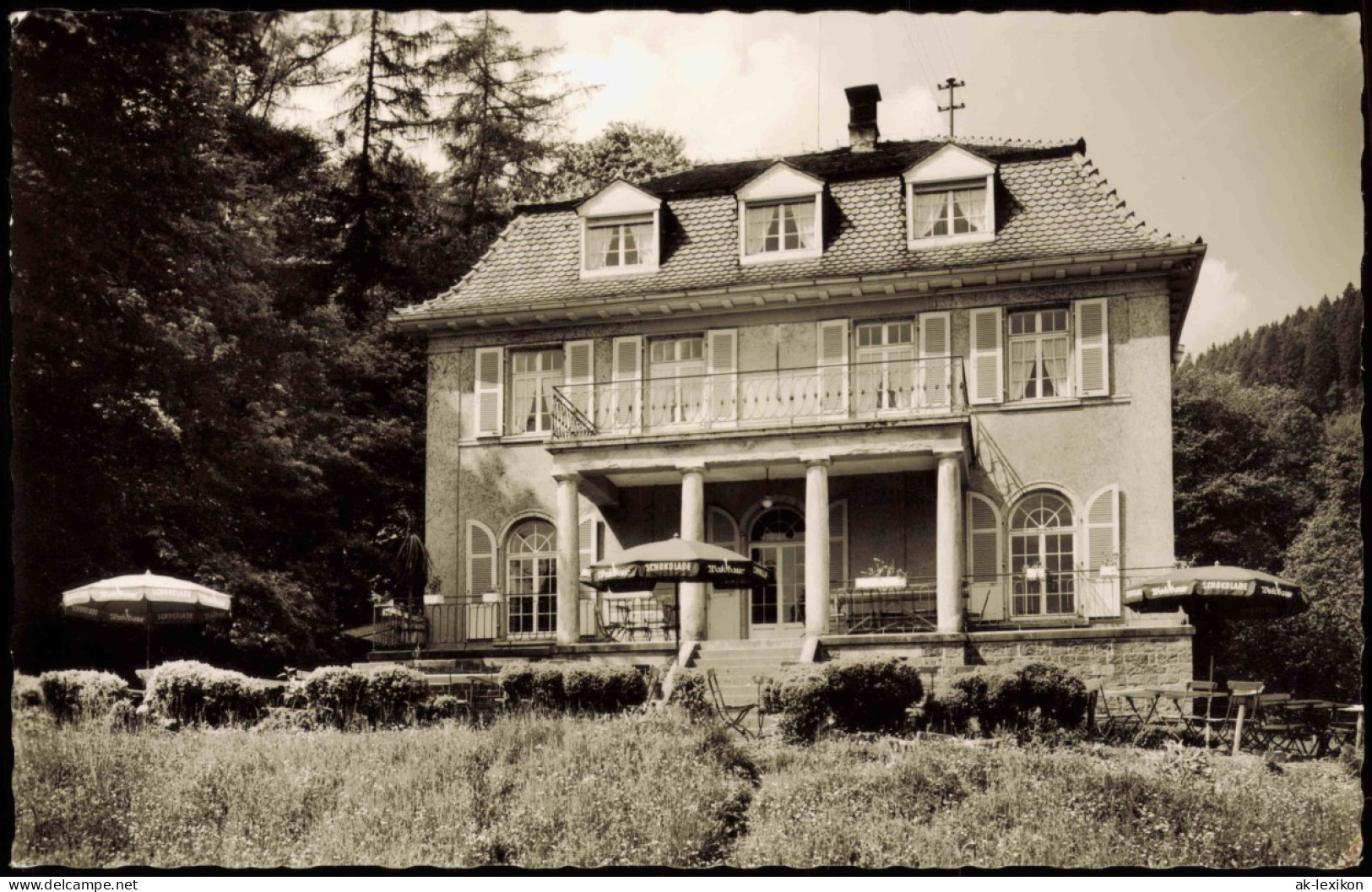 Ansichtskarte Neckargemünd Naturfreundehaus 1961 - Neckargemünd