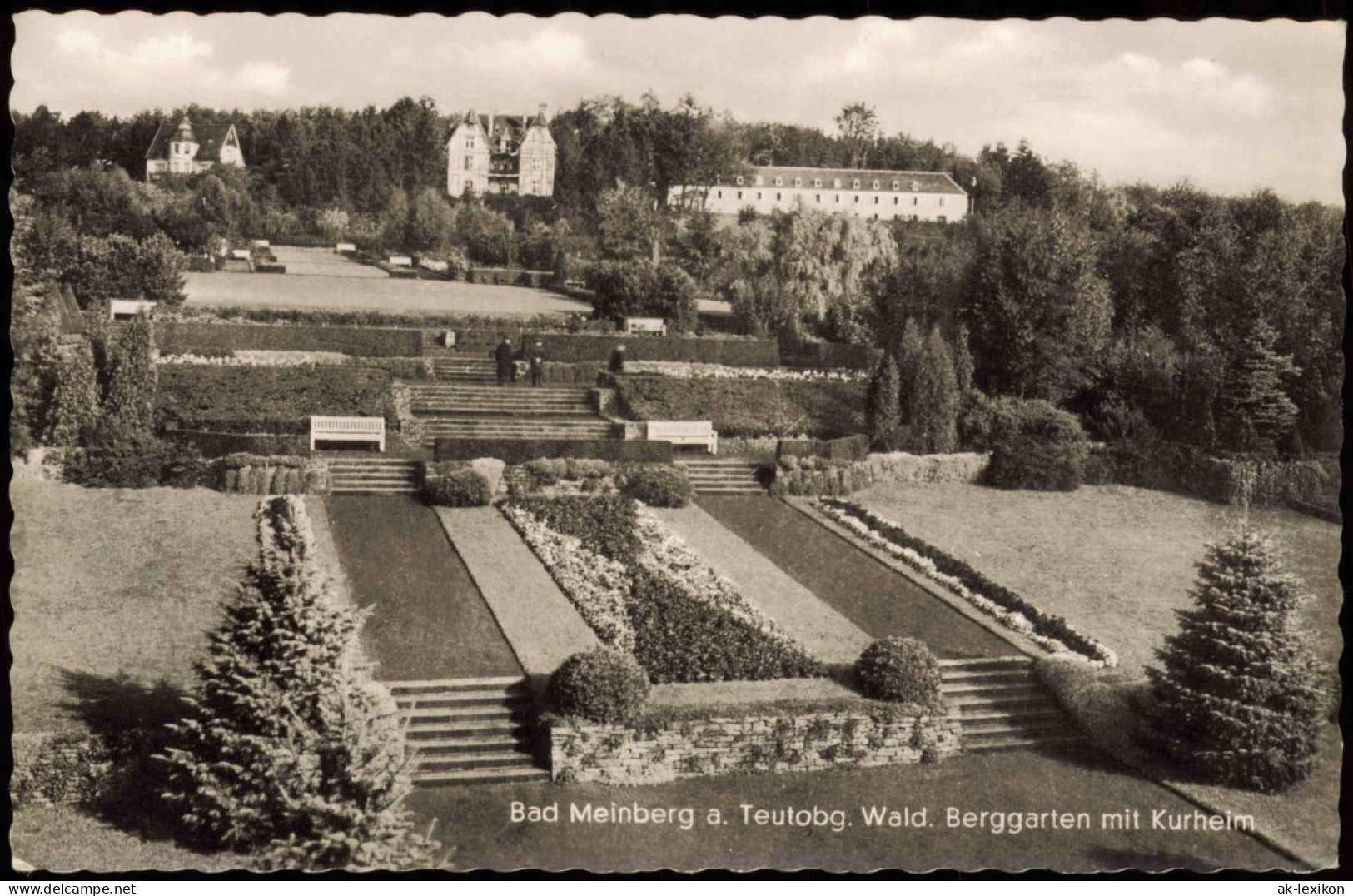 Ansichtskarte Horn-Bad Meinberg Teutoburger Wald. Berggarten Mit Kurheim 1953 - Autres & Non Classés