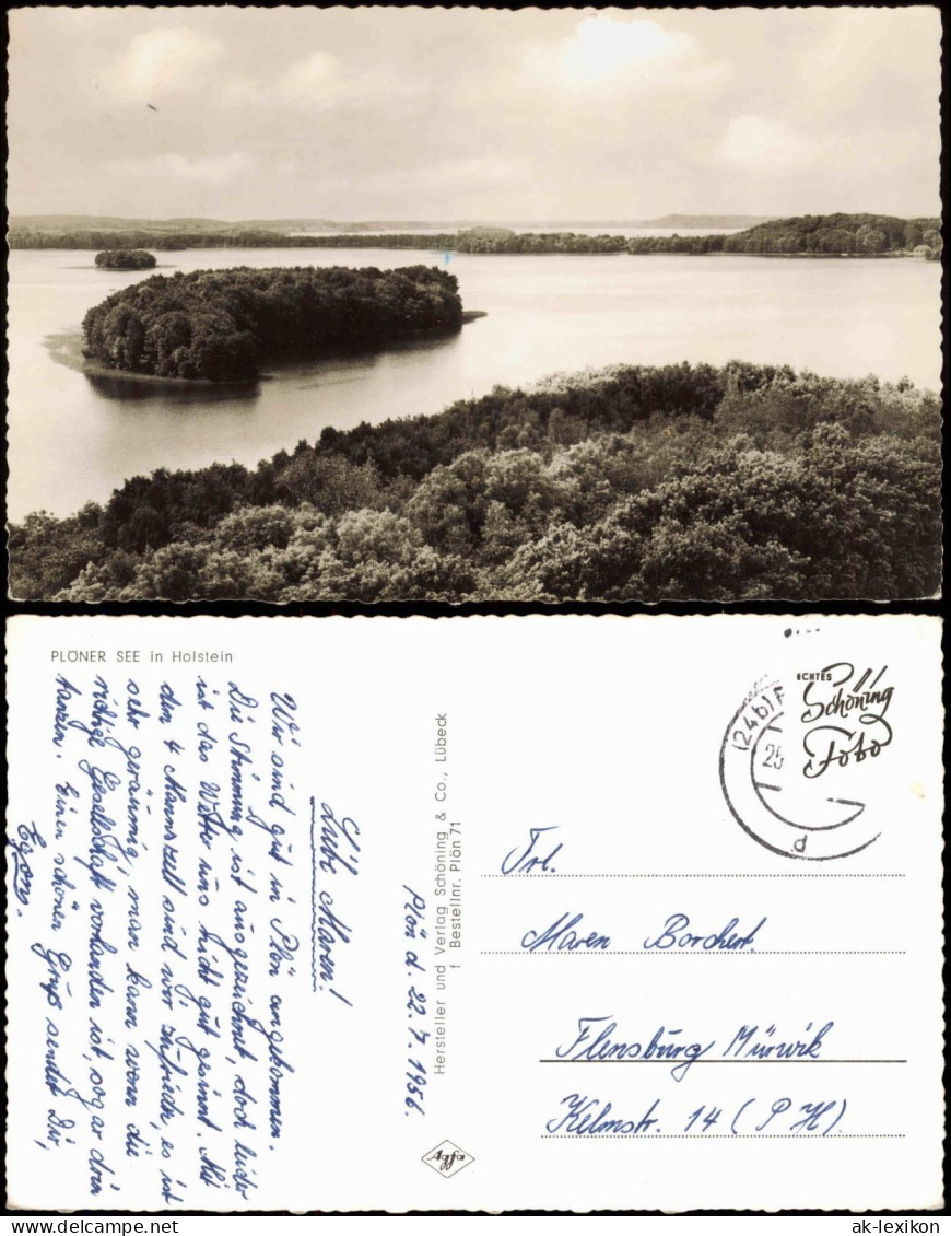 Ansichtskarte Plön Plöner See (Plön) Holstein Panorama-Ansicht 1956 - Autres & Non Classés