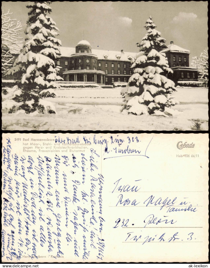 Ansichtskarte Bad Hermannsborn-Bad Driburg Kuranlagen Gebäude-Ansicht 1961 - Bad Driburg