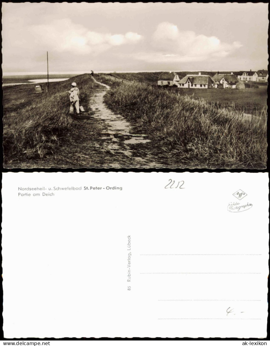 Ansichtskarte St. Peter-Ording Partie Am Deich 1956 - Other & Unclassified