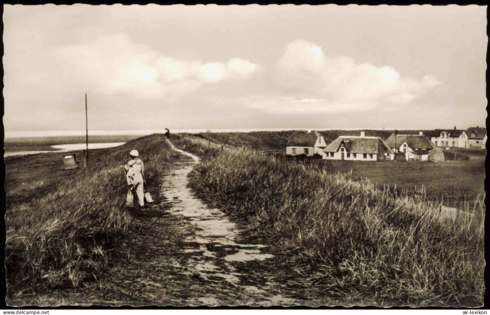 Ansichtskarte St. Peter-Ording Partie Am Deich 1956 - Other & Unclassified