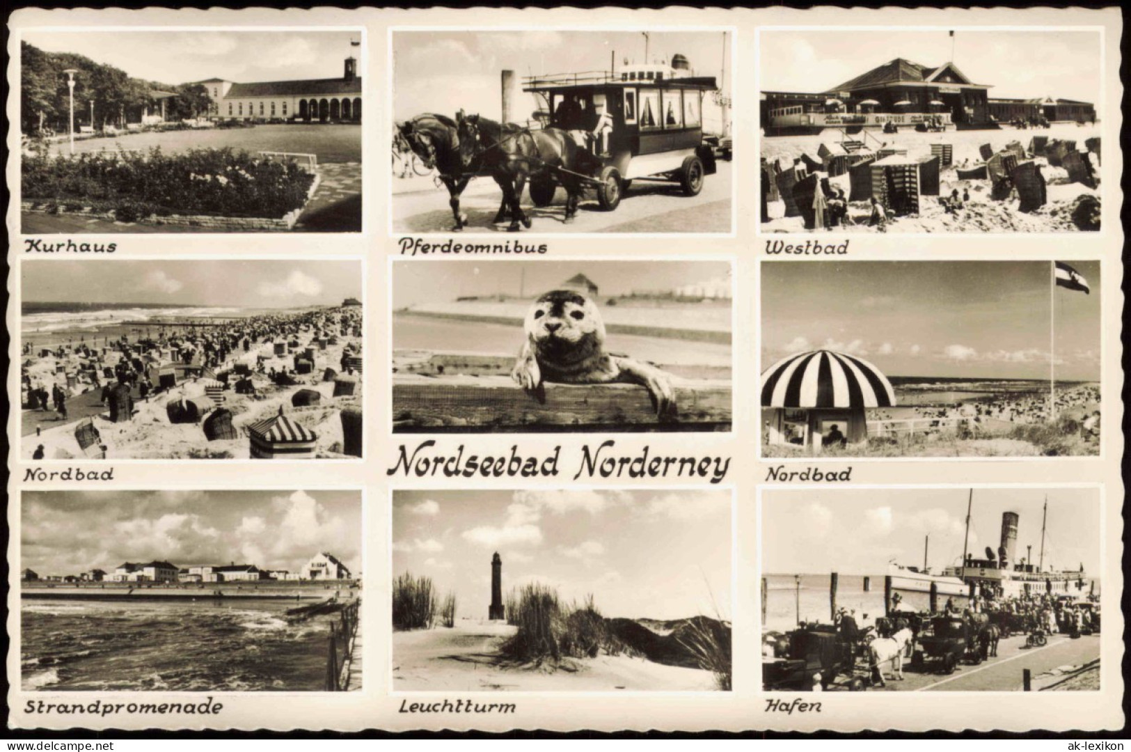 Ansichtskarte Norderney Pferdeomnibus, Robbe, Nordbad Kiosk MB 1959 - Norderney