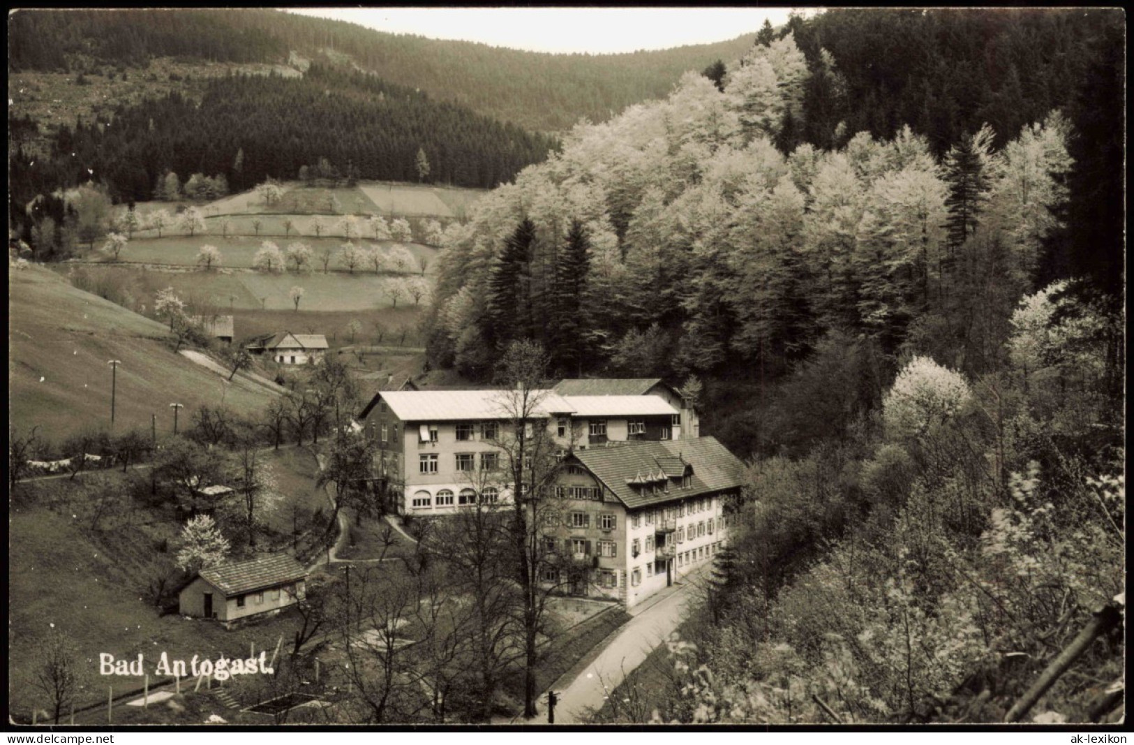 Ansichtskarte Bad Antogast Stadtpartie, Hotel 1962 - Otros & Sin Clasificación