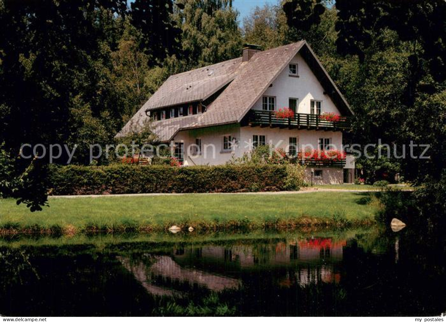 73778952 Hinterzarten Haus Faller Hinterzarten - Hinterzarten