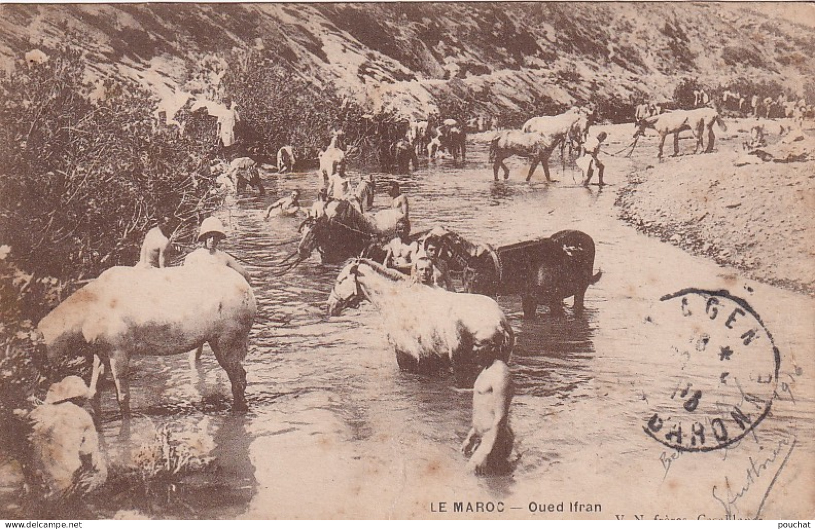 FI 29- OUED IFRAN , MAROC  - ANIMATION - BAIN POUR LES HOMMES ET LES CHEVAUX - Andere & Zonder Classificatie