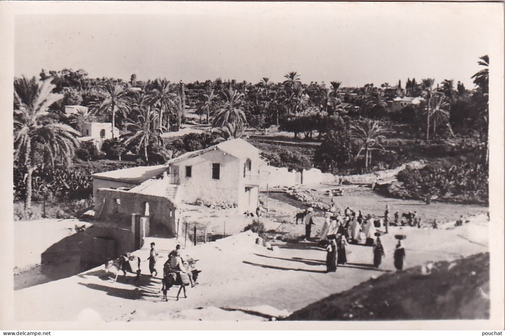 FI 30- JERICHO ( PALESTINE ) - SOURCE D'ELISHA - ANIMATION - ELISHA'S FOUNTAIN - Palestine