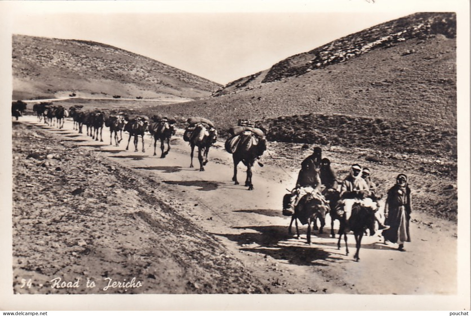 FI 30- ROUTE A JERICHO ( PALESTINE ) - ANIMATION - CARAVANE DE DROMADAIRES - Palestine