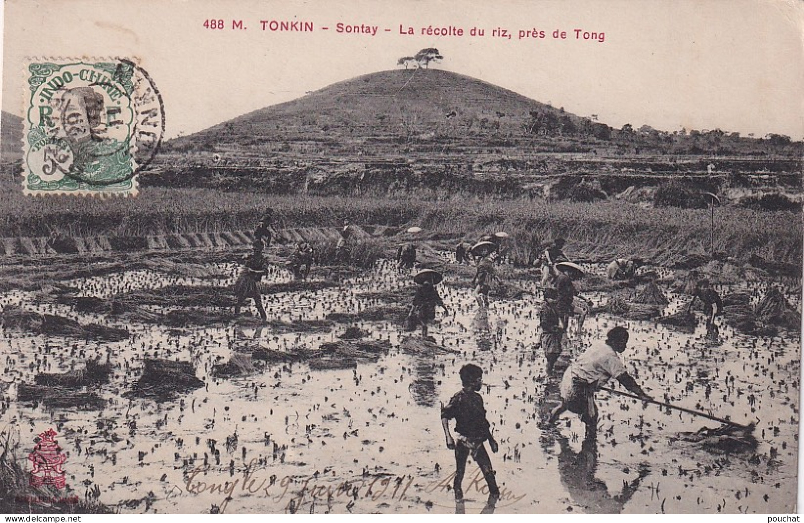 GU Nw- SONTAY - TONKIN ( VIETNAM ) - LA RECOLTE DU RIZ  , PRES DE TONG - ANIMATION - OBLITERATION 1911 - Vietnam