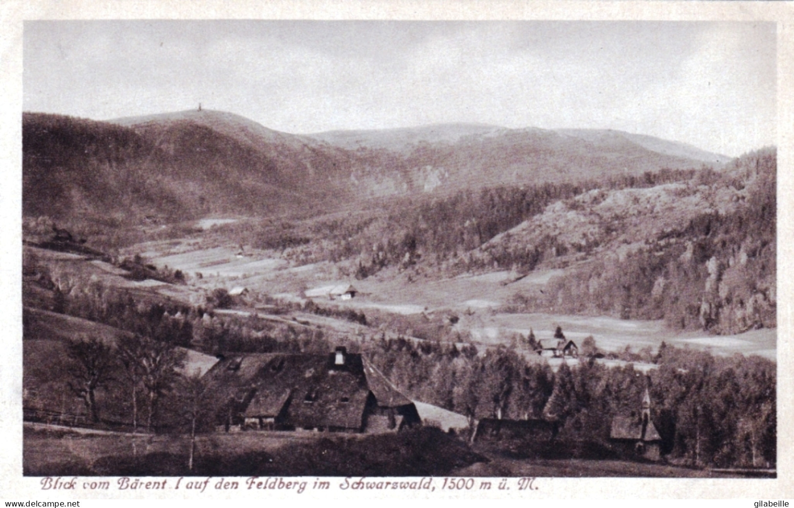 Bade-Wurtemberg - Blick Vom  Barentof Auf Den FELDBERG Im SCHWARSWALD - Feldberg