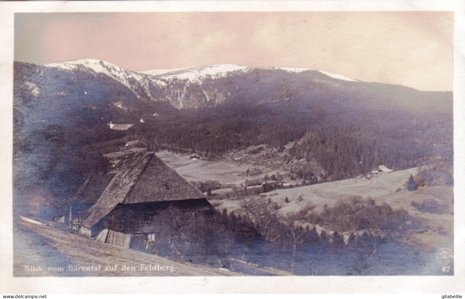 Bade-Wurtemberg - Blick Vom  Barental Auf Den FELDBERG  - Feldberg