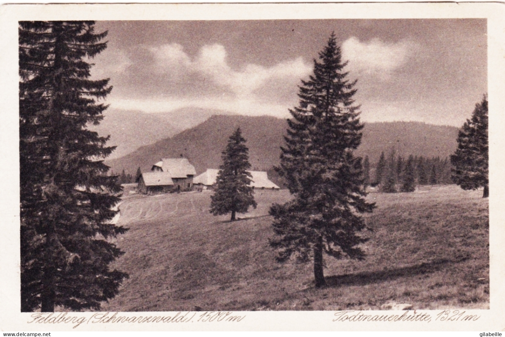 Bade-Wurtemberg - FELDBERG - Schwarzwald - Todtnauerhutte  - Feldberg